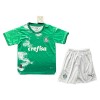 Maillot de Supporter Palmeiras Special Edition 2024 Verte Pour Enfant